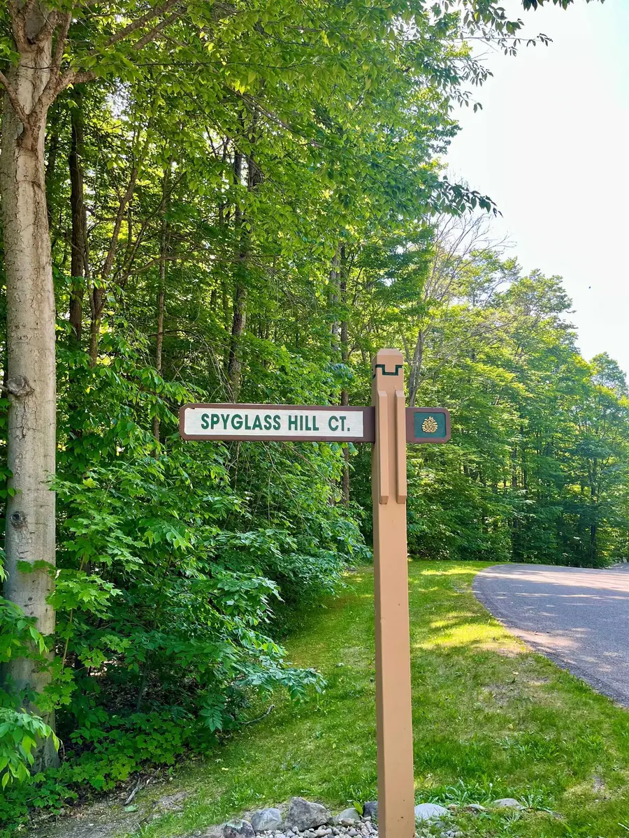 Units 162 & 163 Spyglass Hill, Bellaire, MI 49615 - #2