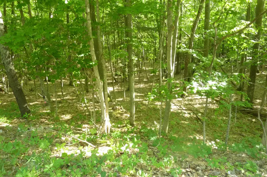 oo Point Betsie, Frankfort, MI 49635 - #3