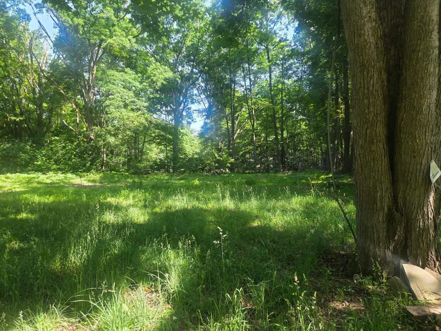 7820 Wilderness, Weidman, MI 48893 - #2