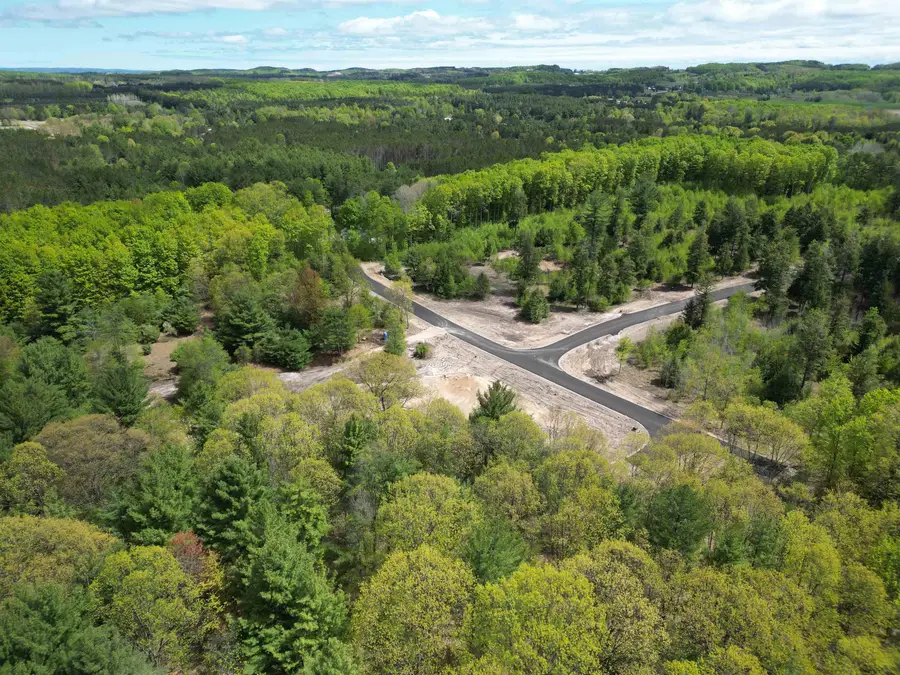 4717 Leaning Birch, Long Lake, MI 49685 - #2