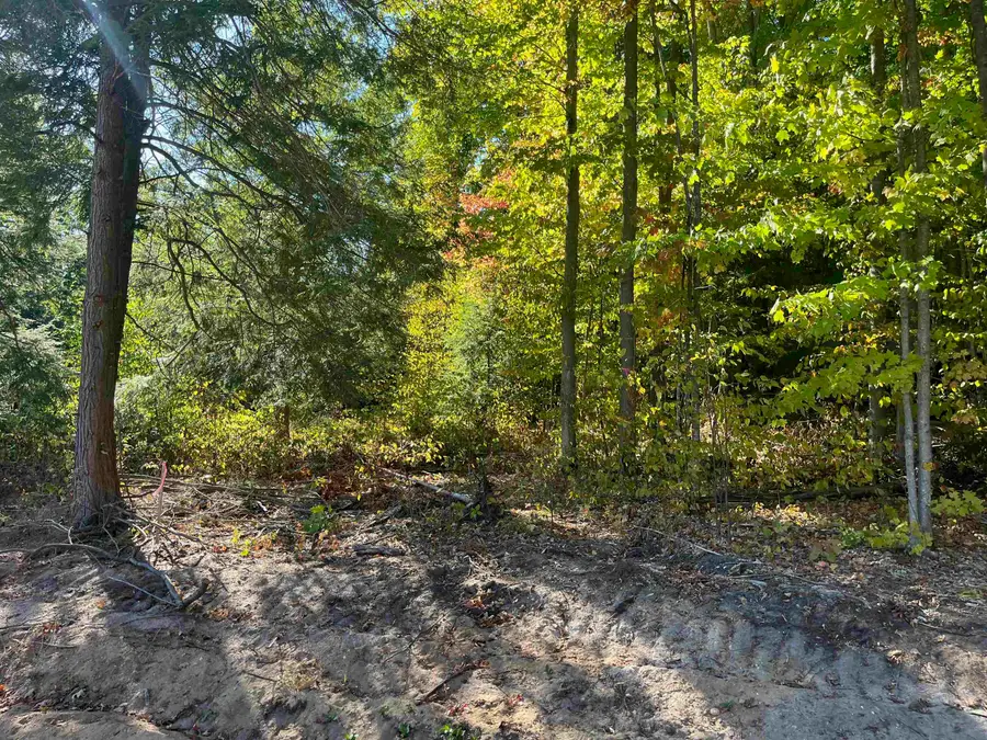 4735 Leaning Birch, Traverse City, MI 49685 - #3