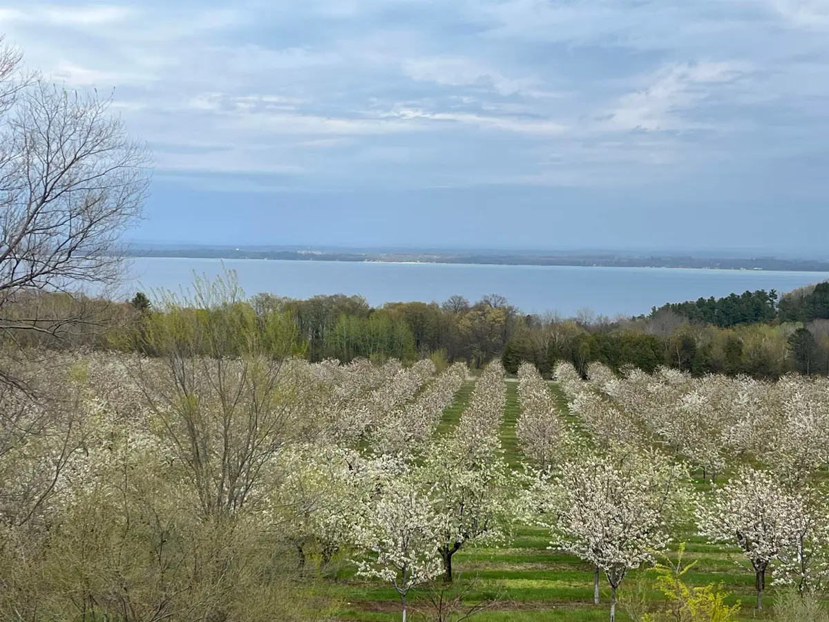 12586 Center, Traverse City, MI 49686 - #1