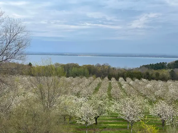 12586 Center, Traverse City, MI 49686