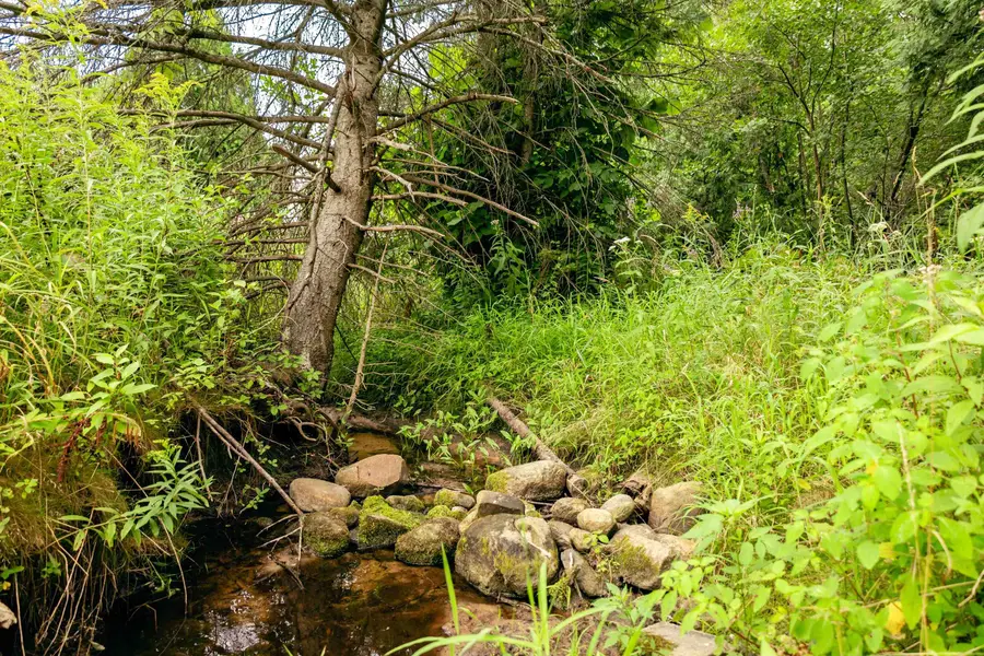 00 E Birch Point, Garfield, MI 49684 - #3