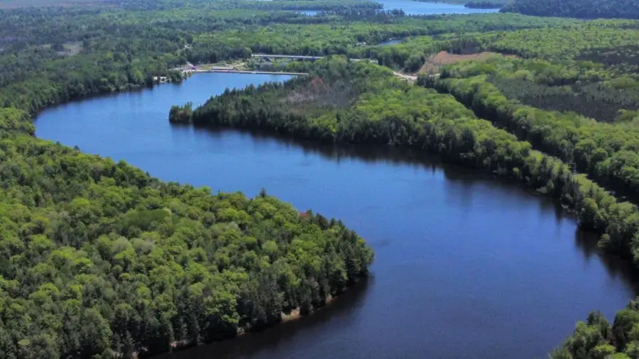 4338 Loud Dam, Glennie, MI 48737 - #3