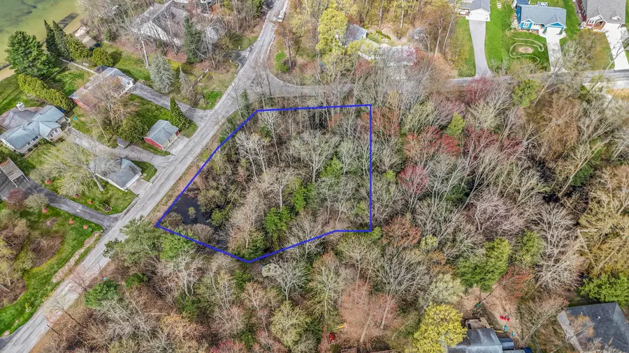 4125 White Birch, Grawn, MI 49637 - #3