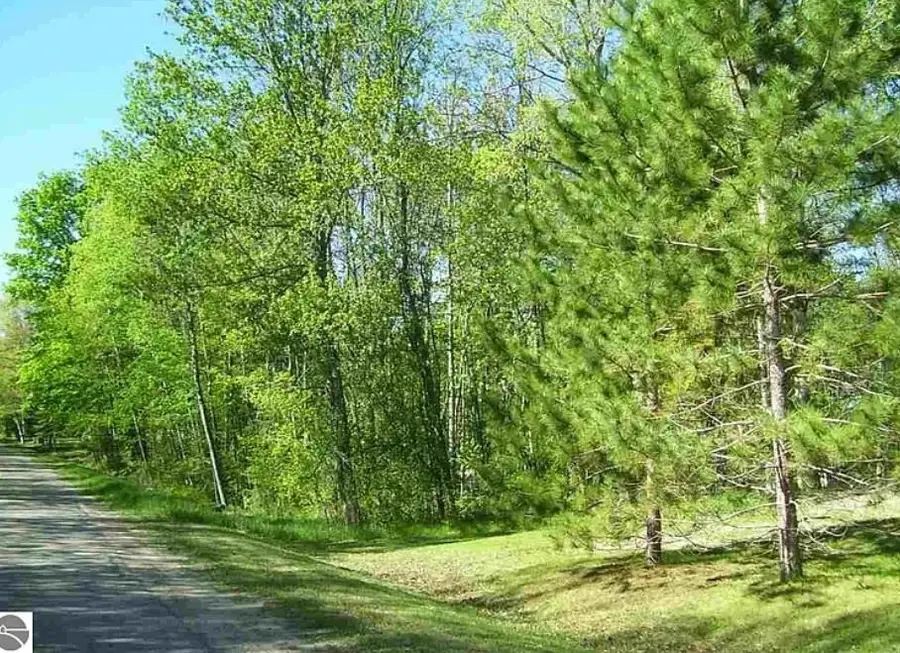 0 East Side, Lupton, MI 48635 - #2
