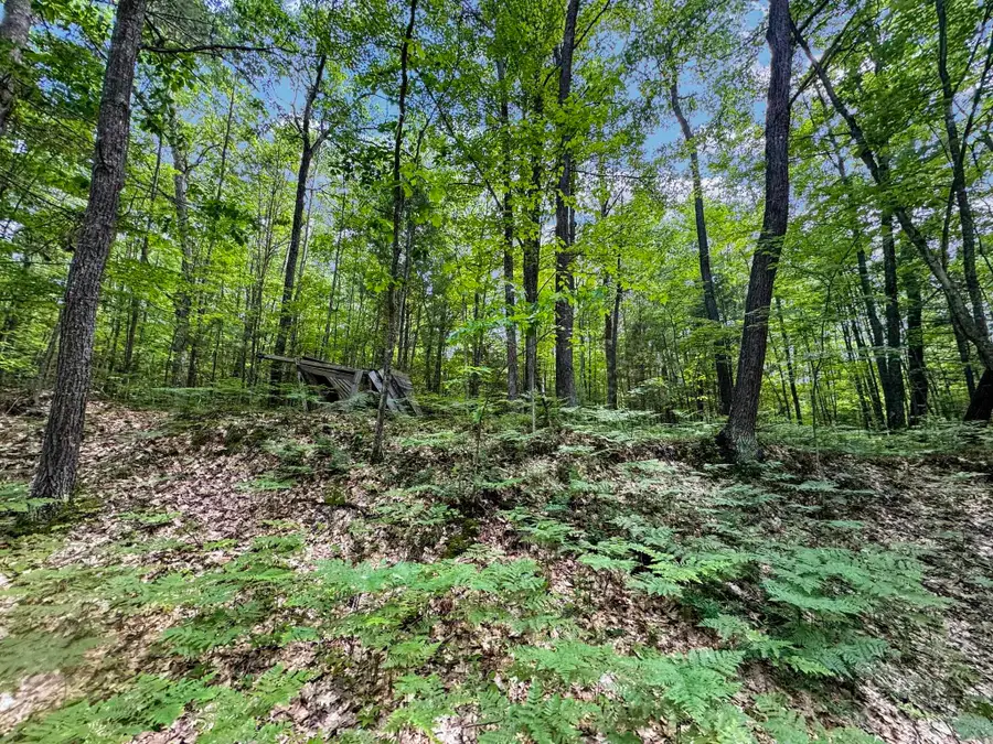 Parcel A Seeley, Lake City, MI 49651 - #3