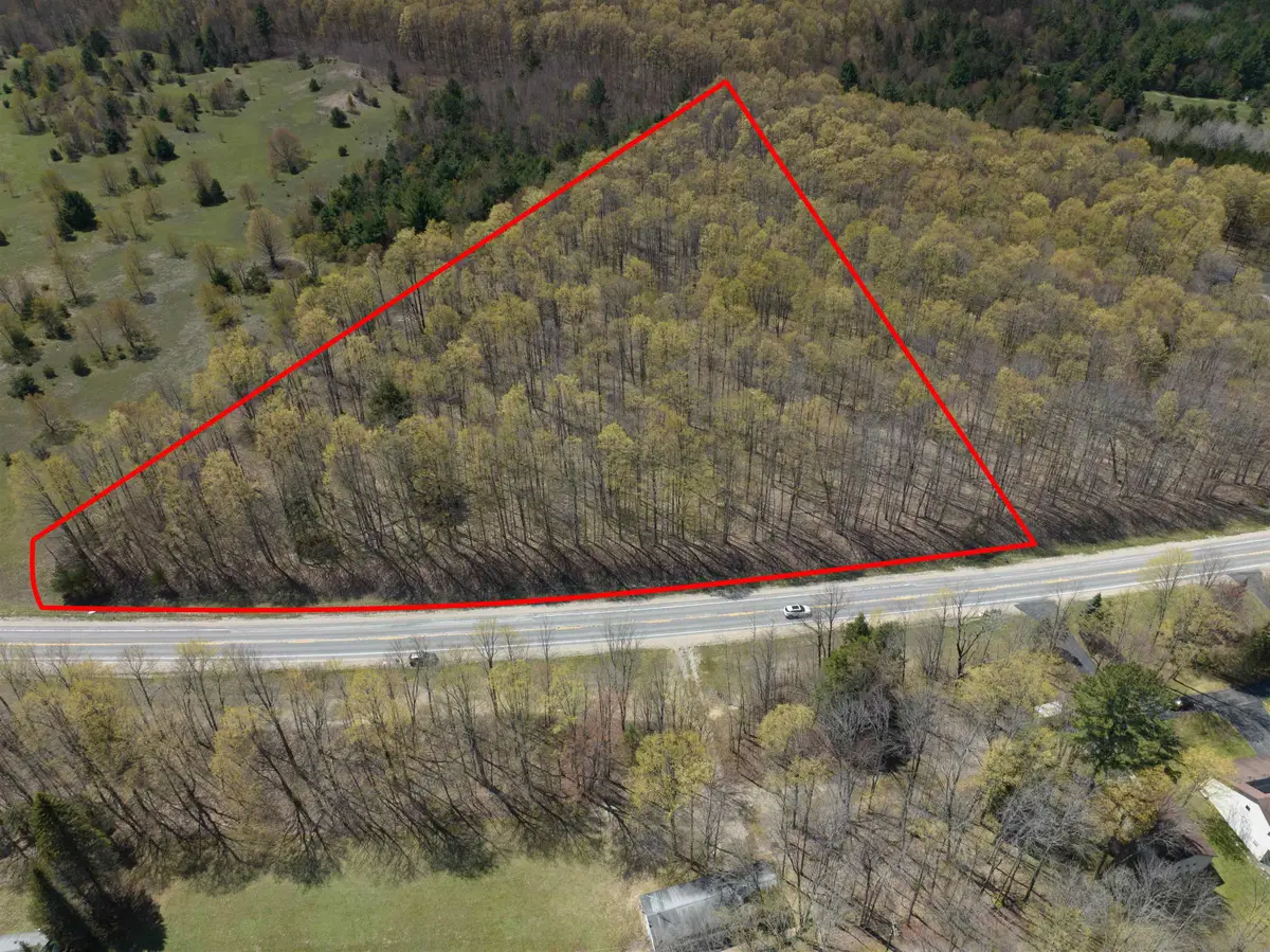 Parcel 3&4 S M-66, Mancelona, MI 49659 - #1