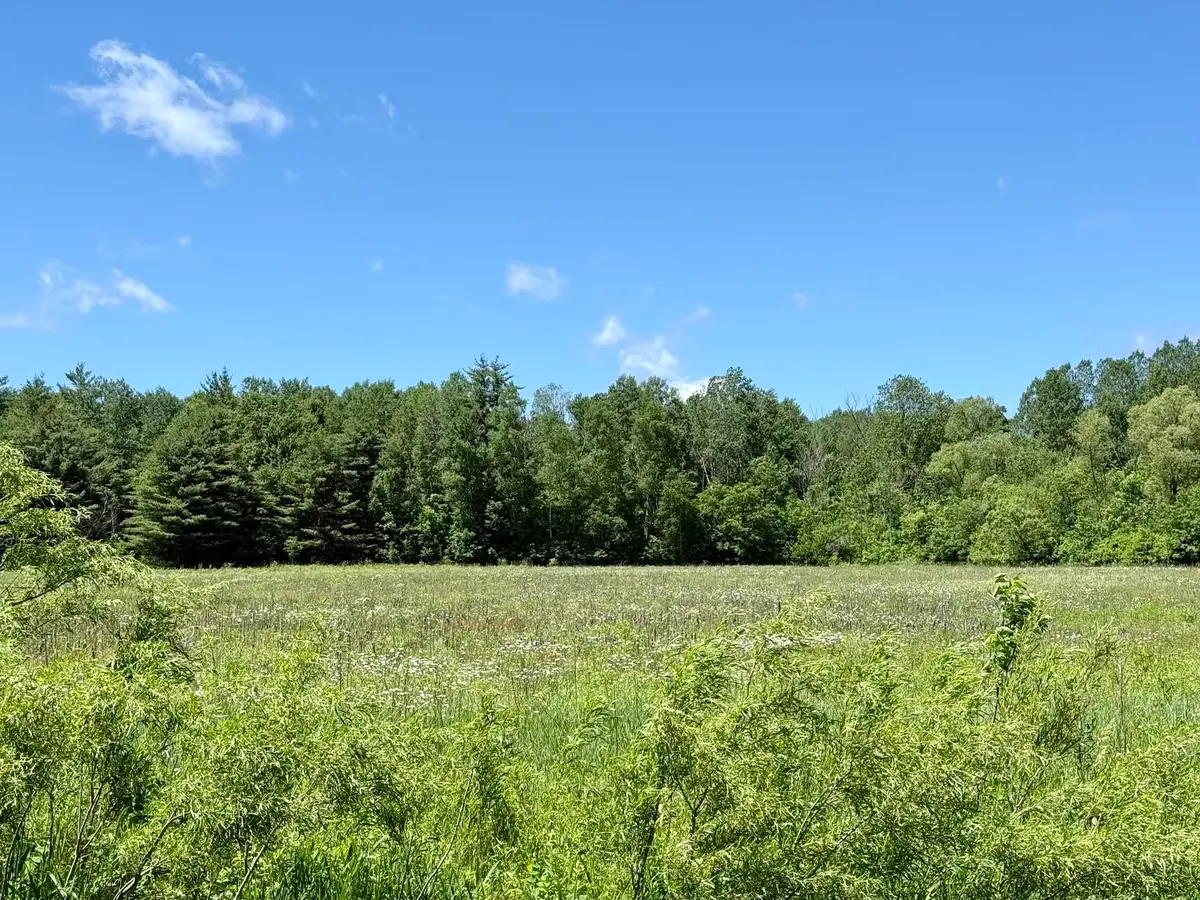 V/L 5th, Marion, MI 49665 - #1