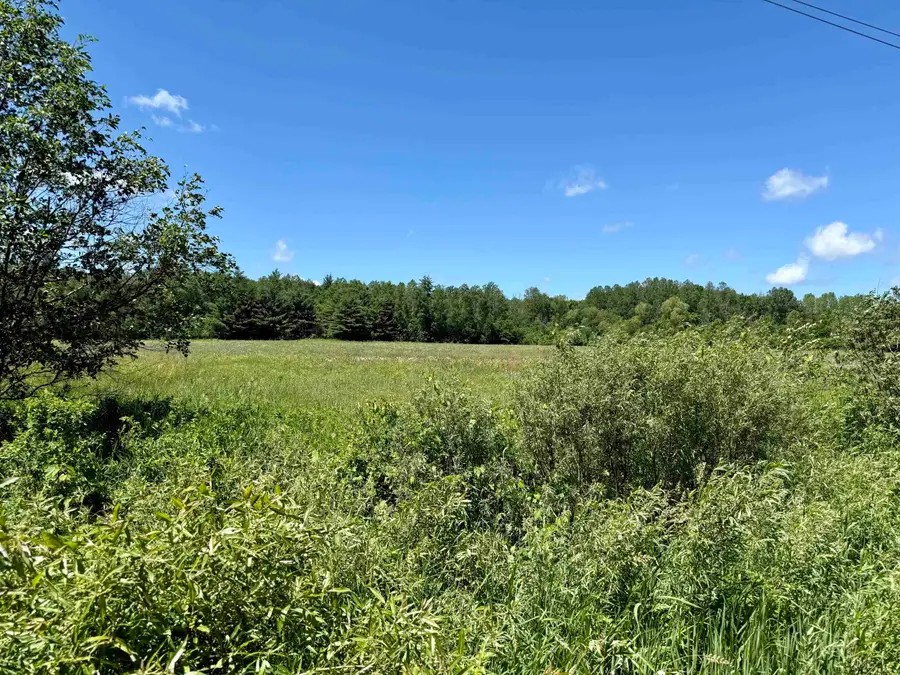 V/L 5th, Marion, MI 49665 - #3