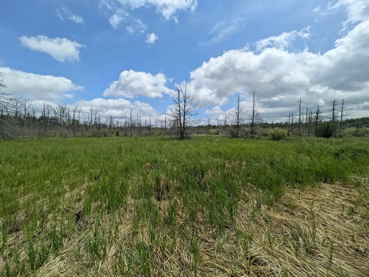 M-48, Pickford, MI 49774 - #1