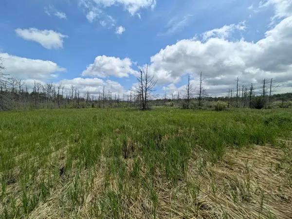 M-48, Pickford, MI 49774