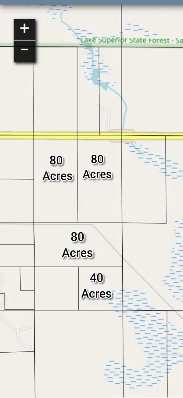 M-48, Pickford, MI 49774