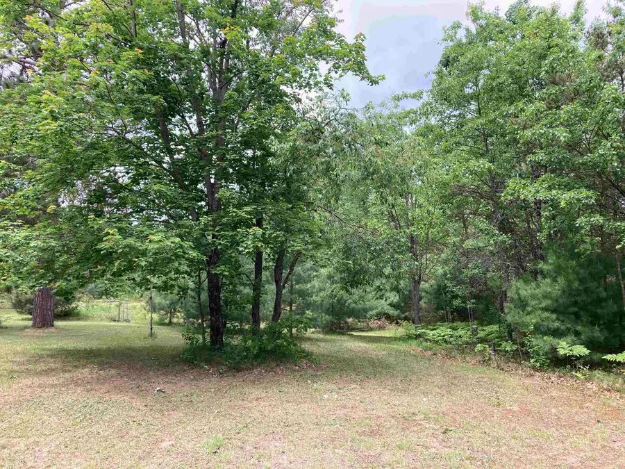 1875 Richardson, Mio, MI 48647 - #3