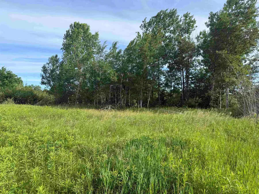 9540 S Mckinley, Lake, MI 48632 - #2