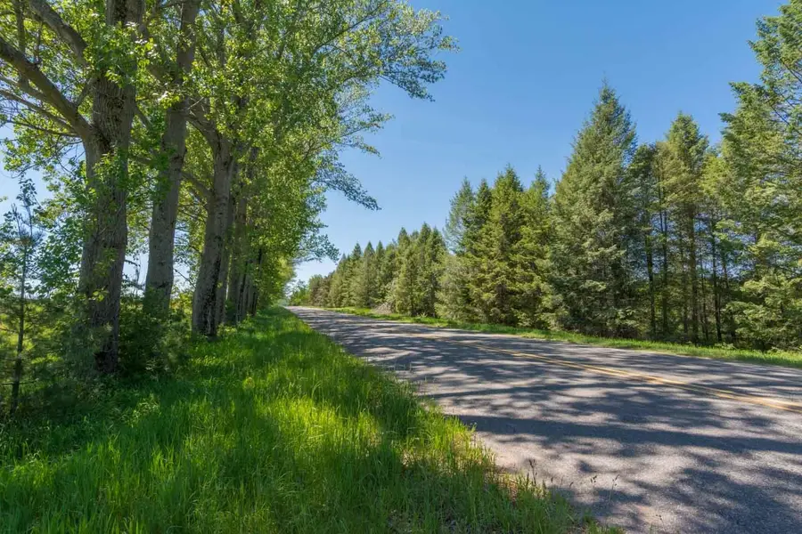 0000 W Ryant, Maple City, MI 49664 - #2