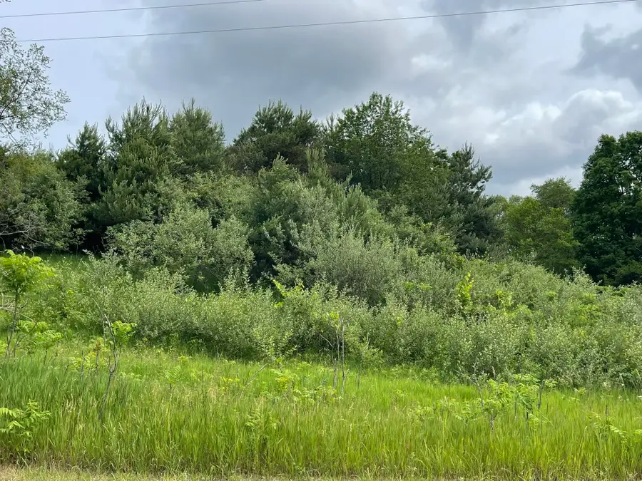 1.83A Smith, Traverse City, MI 49696 - #3