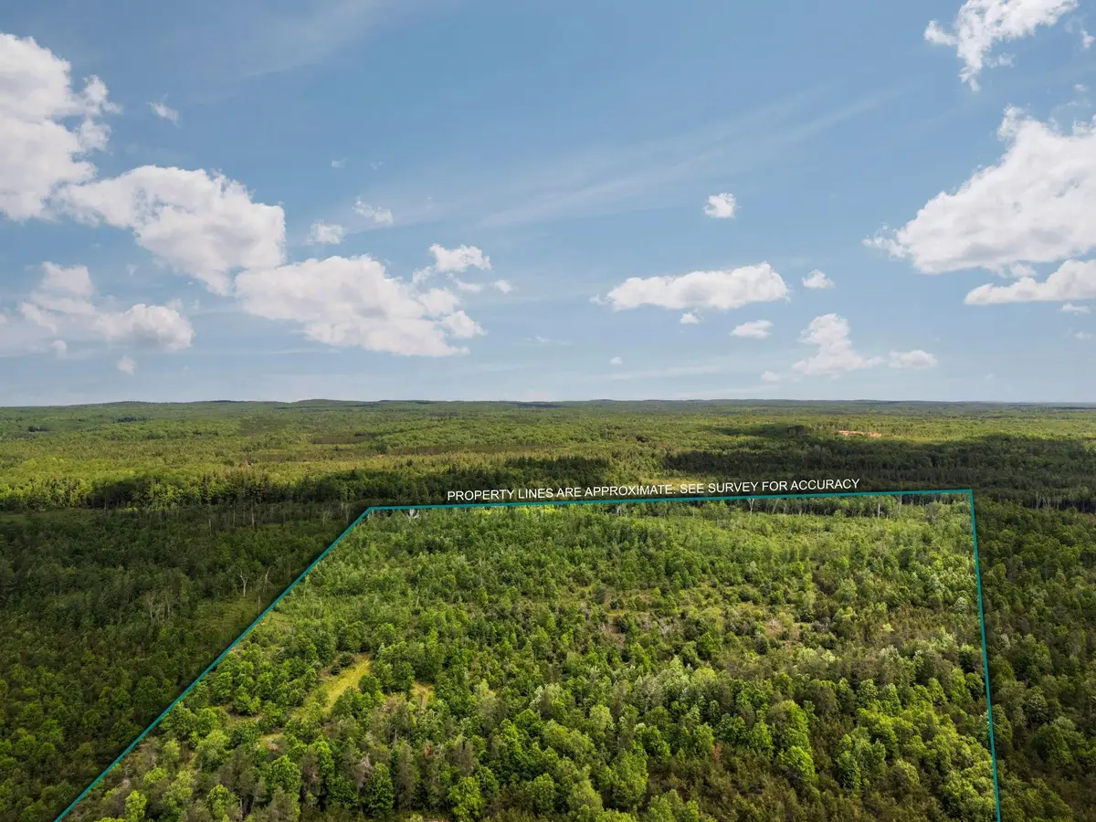 4011 W Forest, Lake City, MI 49651 - #1