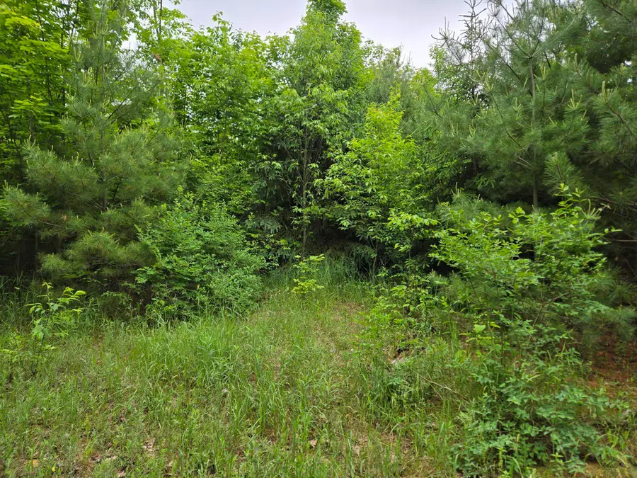 Parcel 1 Maple, Benzonia, MI 49616 - #2