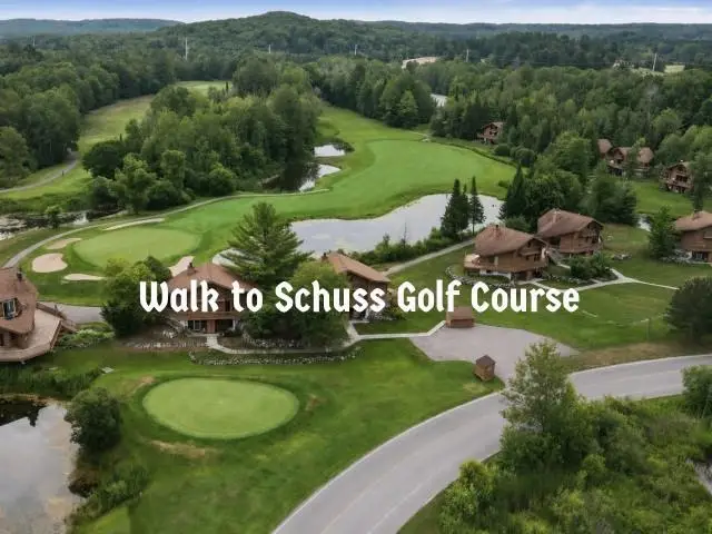 6500 Schuss Mountain #117, Mancelona, MI 49659 - #3