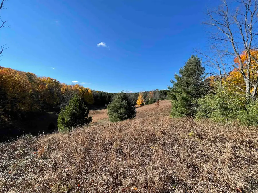 3037 Dockery Road, Nw, Williamsburg, MI 49690 - #2