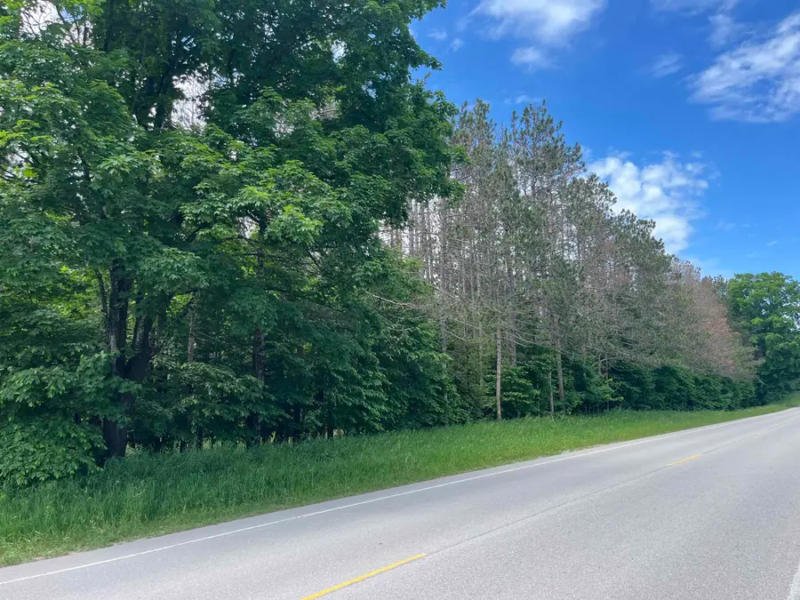 Parcel E Maple City, Lake Ann, MI 49650 - #2