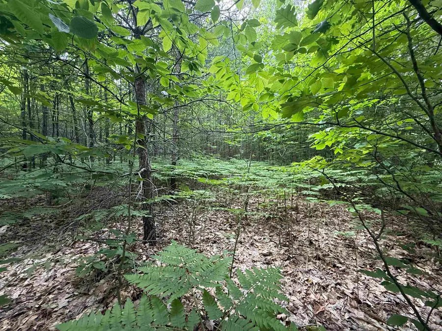 V/L Parcel B Lamerson, Interlochen, MI 49643 - #3