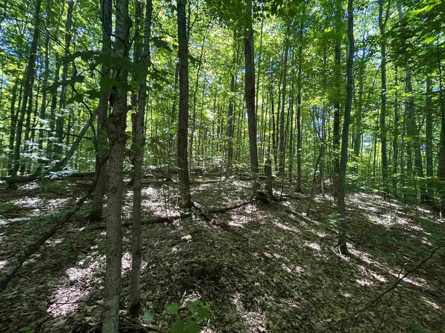 Lot 129 Troon South, Bellaire, MI 49615 - #2