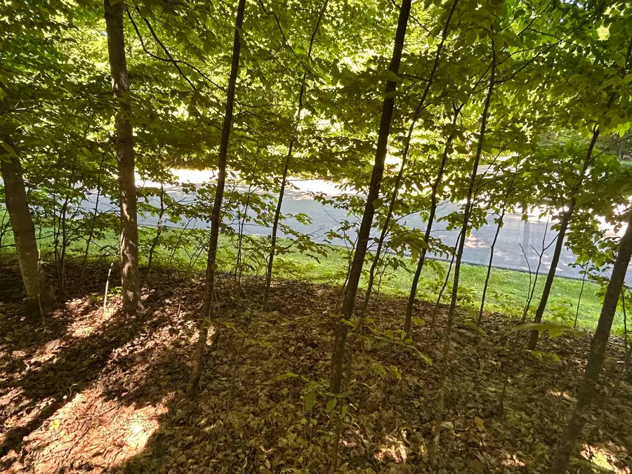 Lot 129 Troon South, Bellaire, MI 49615 - #3