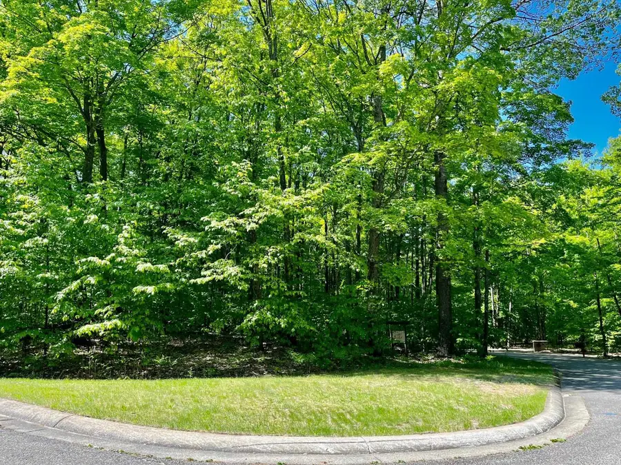 62 Valley, Bellaire, MI 49615 - #2