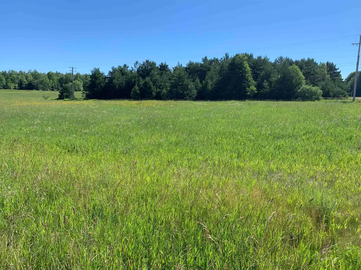 M-37, Buckley, MI 49620 - #1