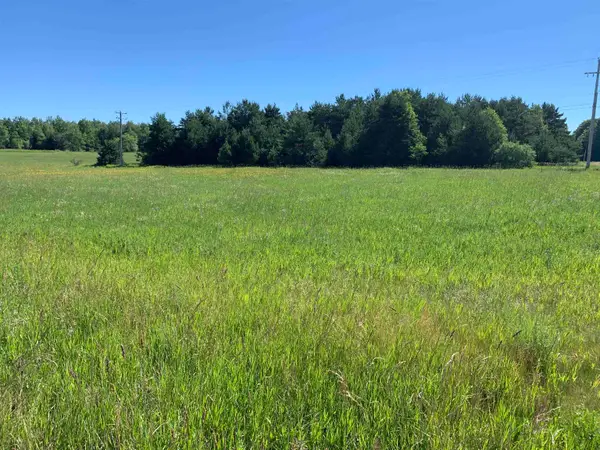 M-37, Buckley, MI 49620
