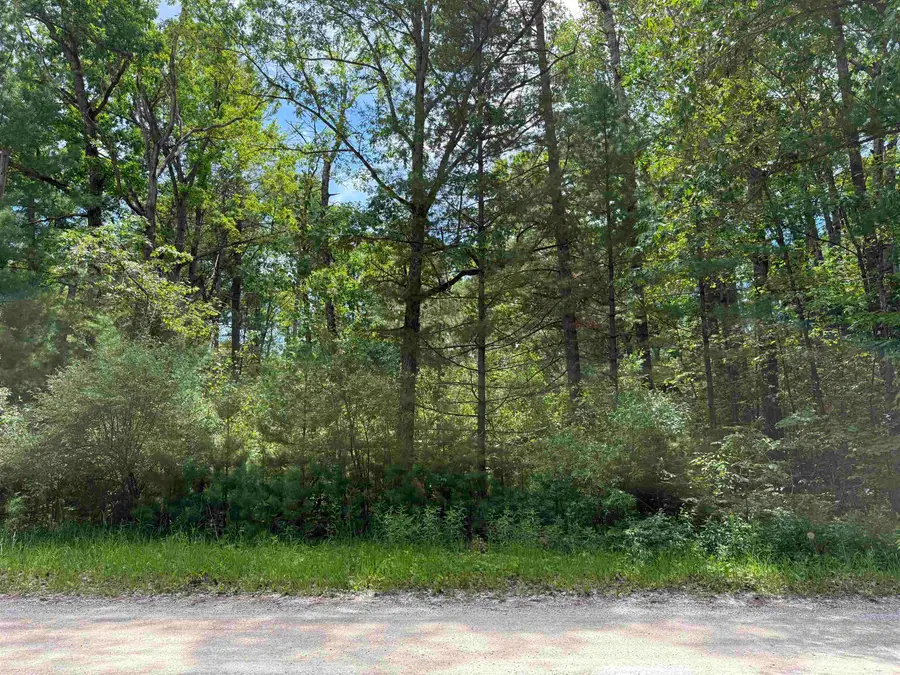 6461 Grace, Hale, MI 48739 - #2