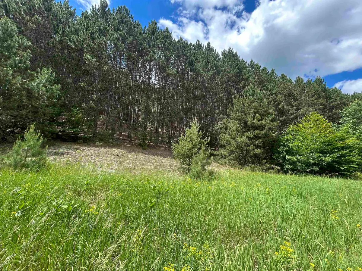 Parcel 6 Wildwood, Mancelona, MI 49659 - #1