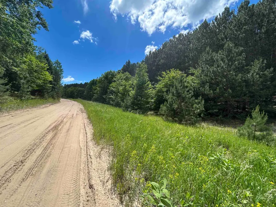 Parcel 6 Wildwood, Mancelona, MI 49659 - #2