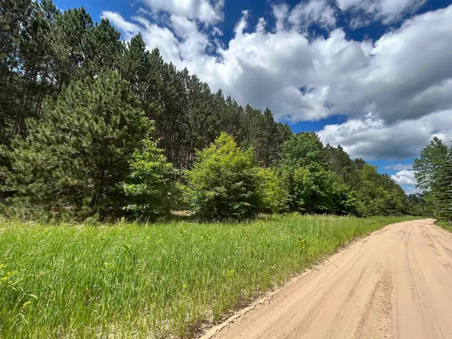 Parcel 6 Wildwood, Mancelona, MI 49659 - #3
