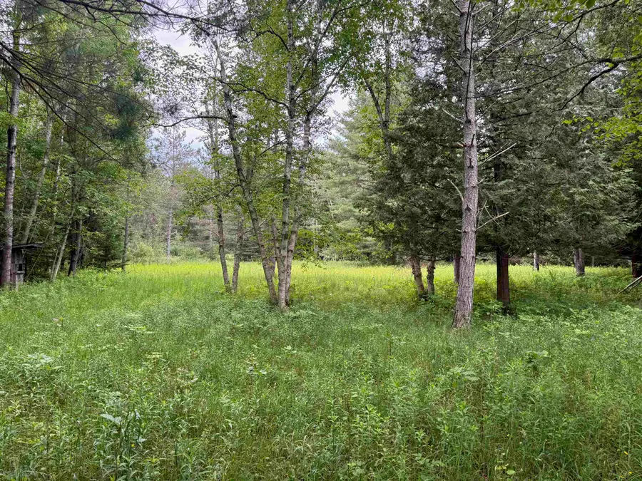 0000 S Good Harbor, Cedar, MI 49621 - #3