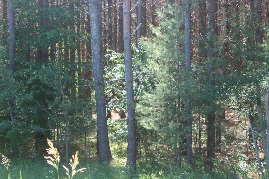 00 Stone Circle, Kewadin, MI 49648 - #2