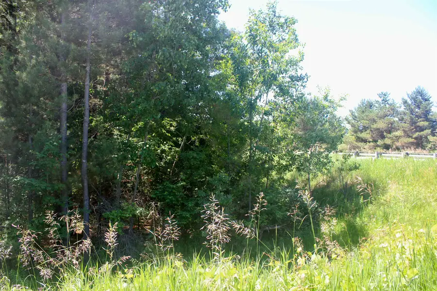 00 Stone Circle, Kewadin, MI 49648 - #3