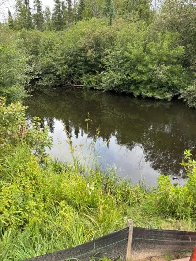 0 N Poor Farm, Harrisville, MI 48740 - #3