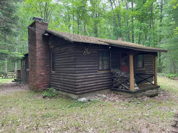 231 Dyer, Rose City, MI 48654