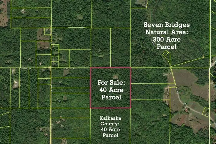 NW Morrison, Centerville, MI 49676 - #1