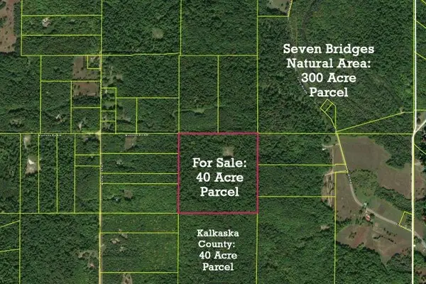 NW Morrison, Rapid City, MI 49676