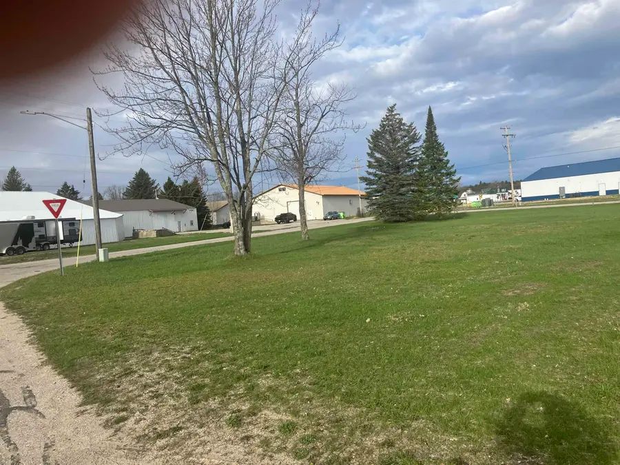 213 Hyde, Kalkaska, MI 49646 - #2