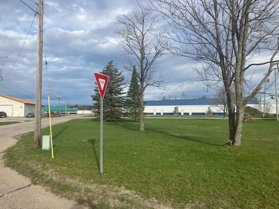 213 Hyde, Kalkaska, MI 49646 - #3