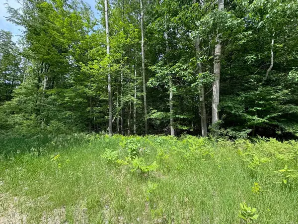 Knoll One, LeRoy, MI 49655