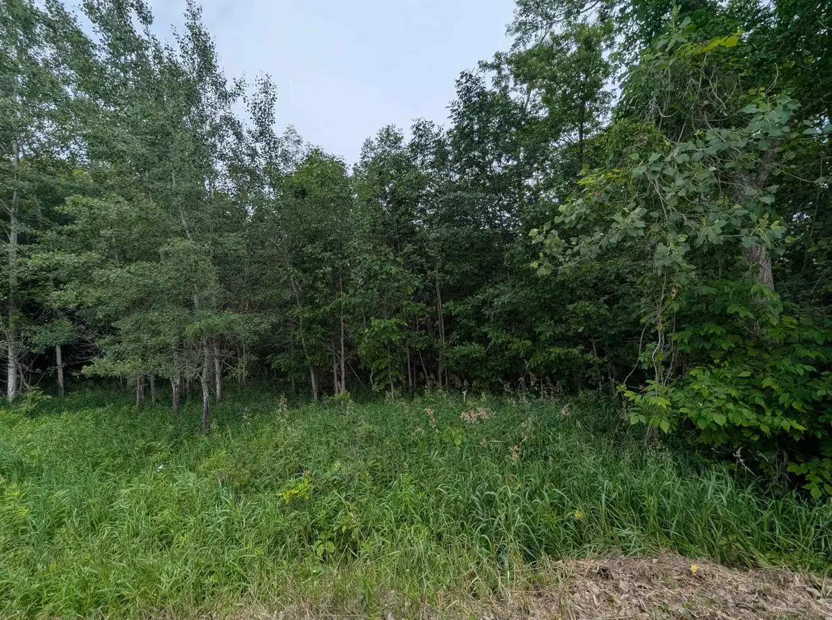 N/A Shenfield, Turner, MI 48765 - #1