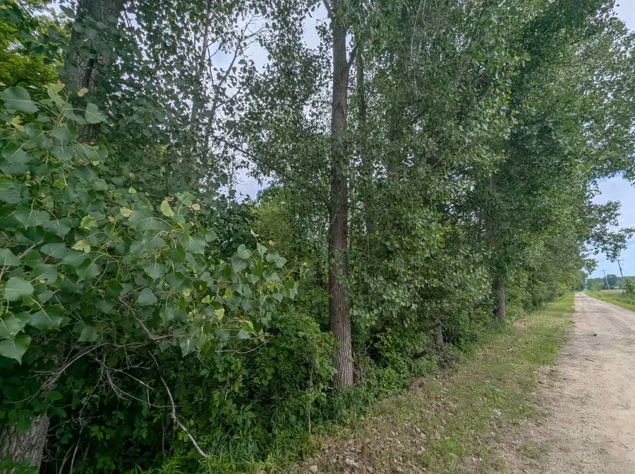 N/A Shenfield, Turner, MI 48765 - #2