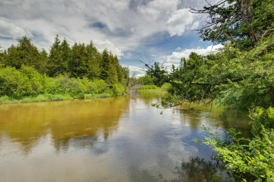 12079 Cold River, Fife Lake, MI 49633 - #2